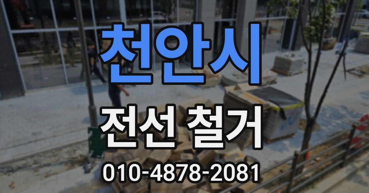 천안시 전선 철거