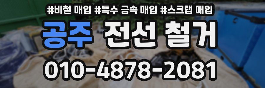 공주 전선 철거