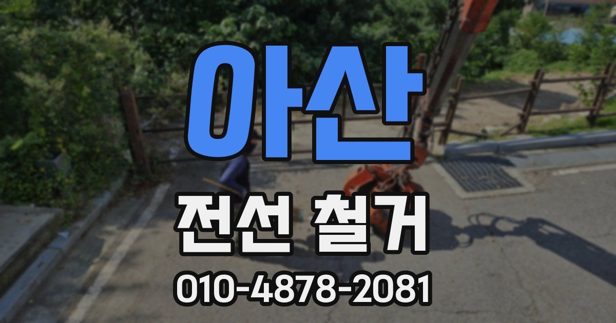 아산 전선 철거