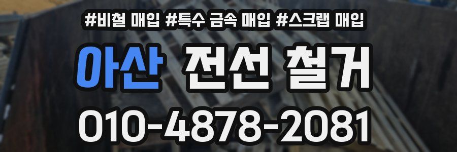아산 전선 철거