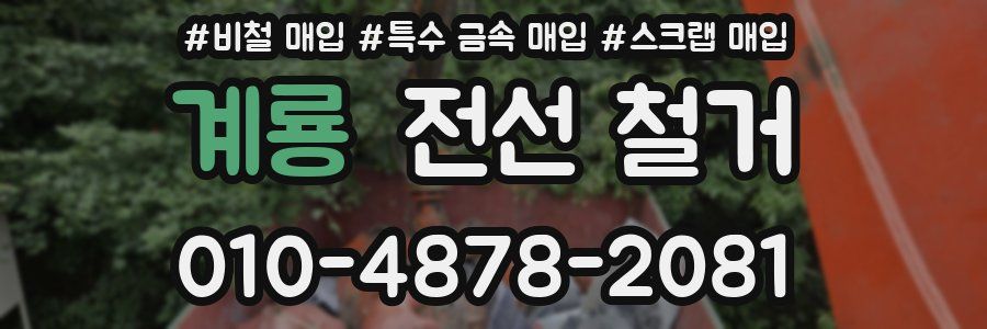 계룡 전선 철거