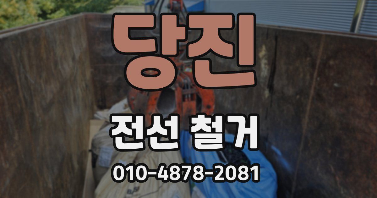 당진 전선 철거