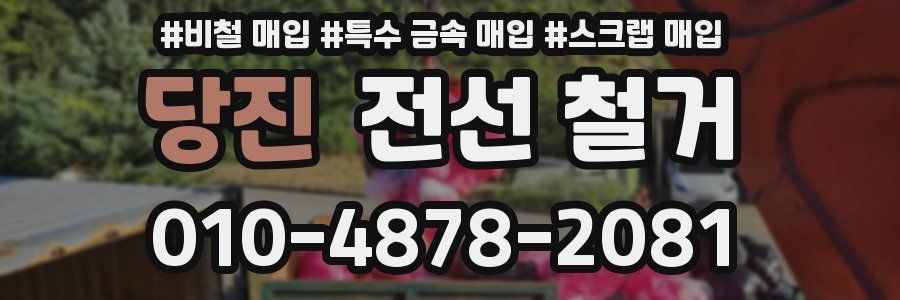 당진 전선 철거