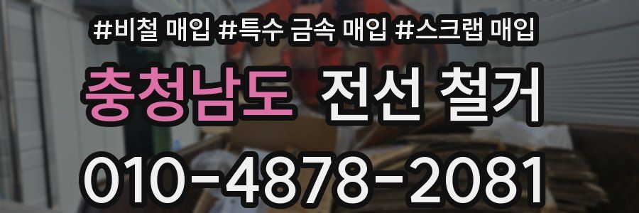 충청남도 전선 철거