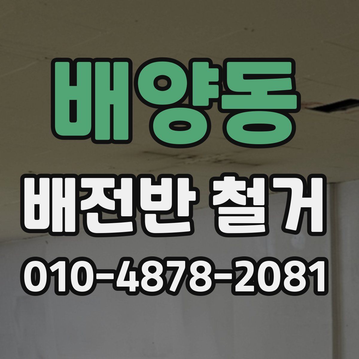 배양동 배전반 철거