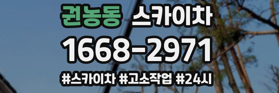 권농동 스카이차