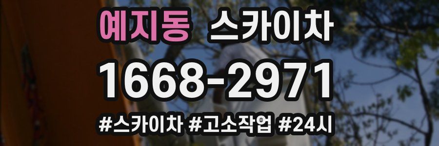 예지동 스카이차