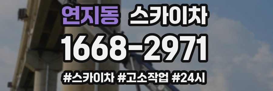 연지동 스카이차