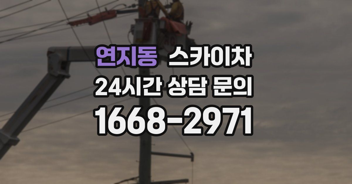 연지동 스카이차