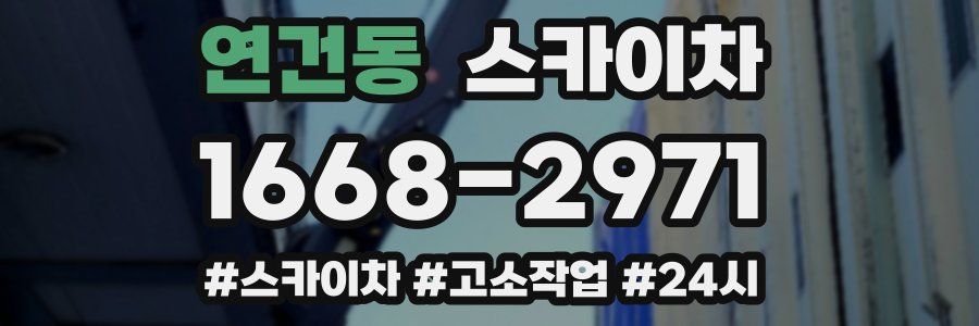 연건동 스카이차