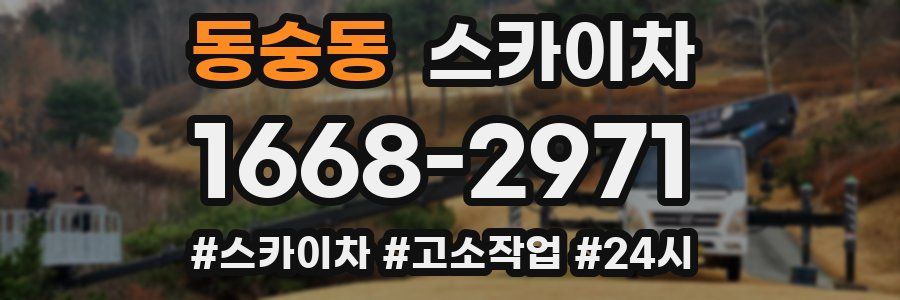 동숭동 스카이차