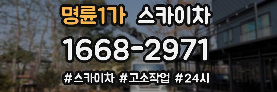 명륜1가 스카이차