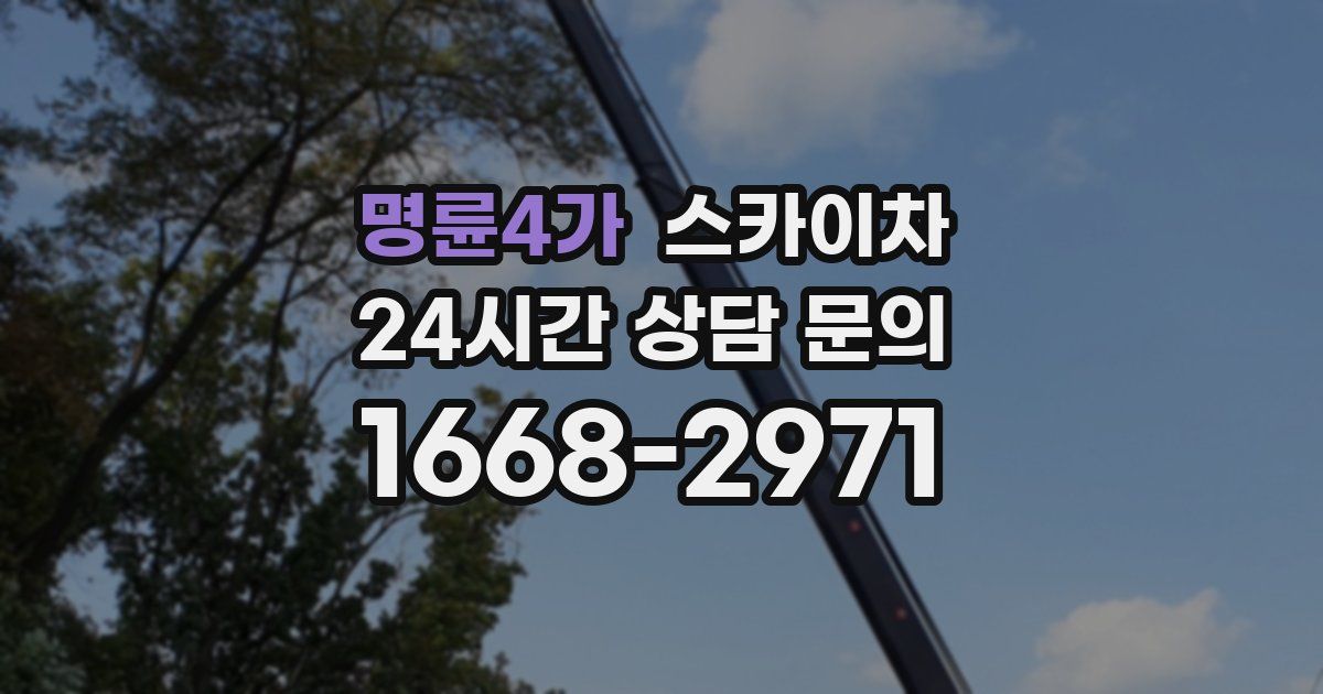 명륜4가 스카이차