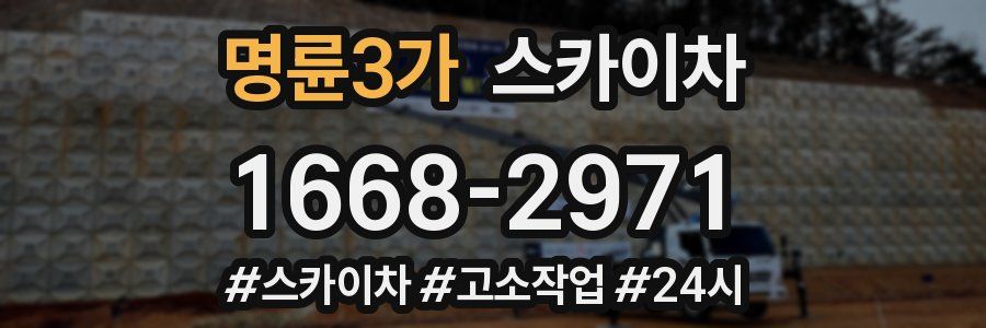 명륜3가 스카이차