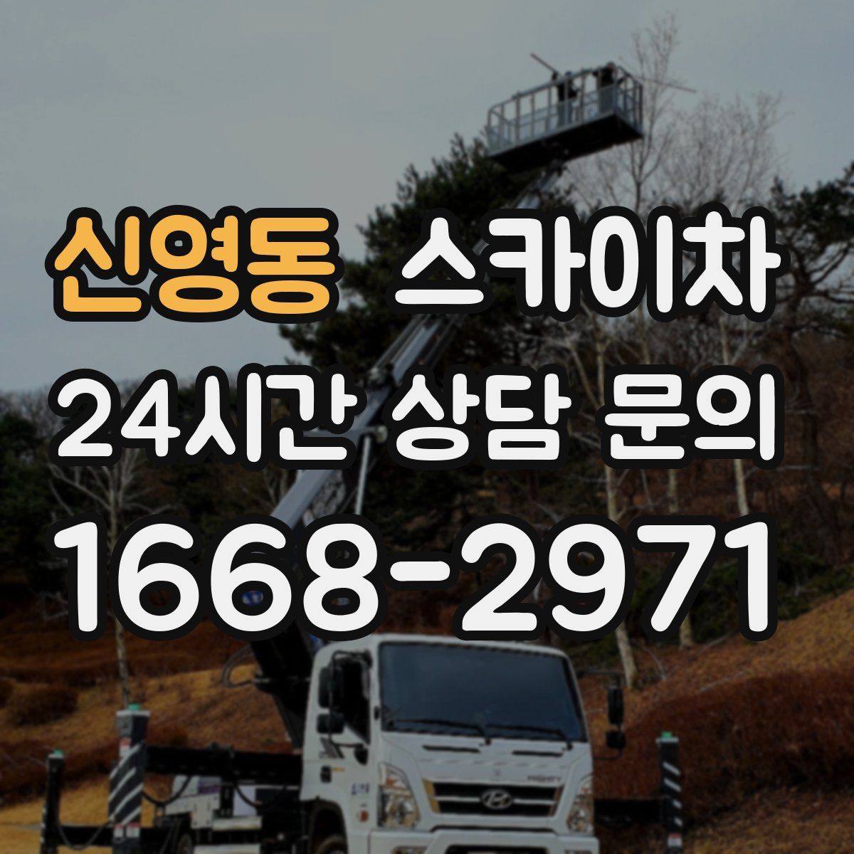 신영동 스카이차