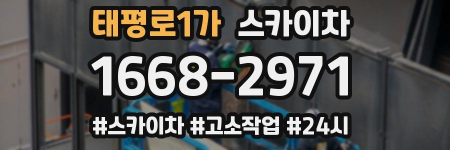 태평로1가 스카이차