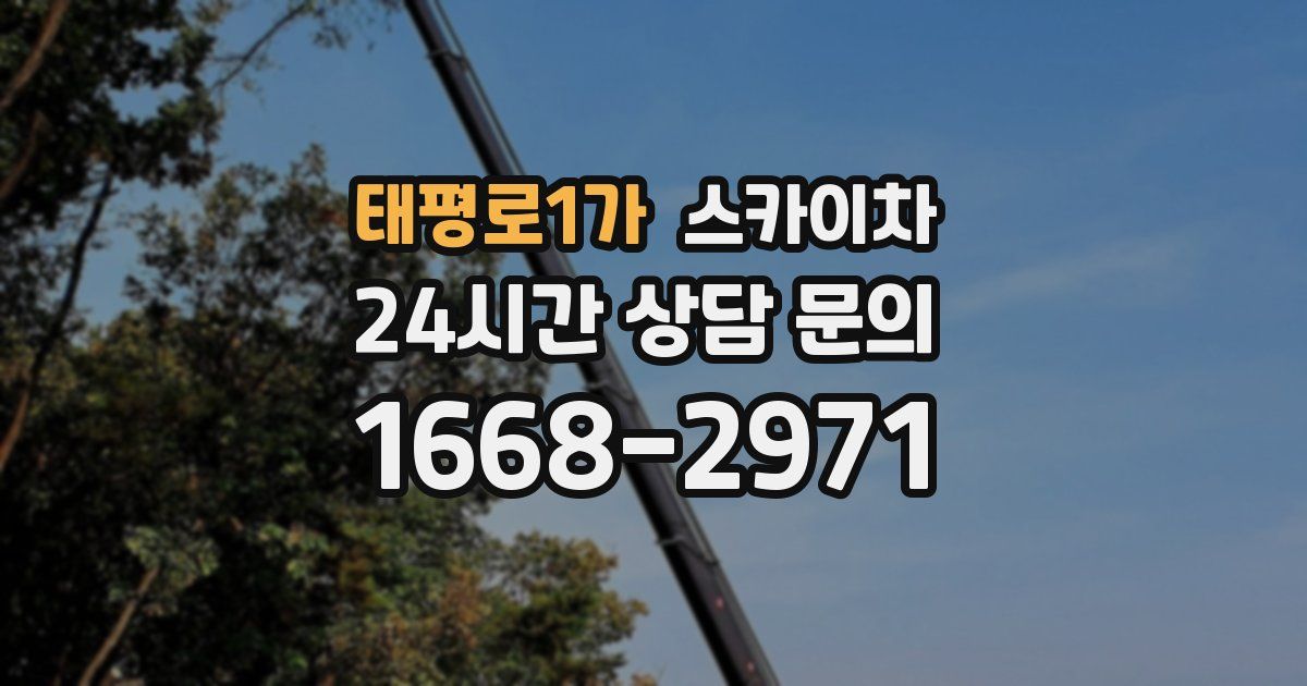 태평로1가 스카이차