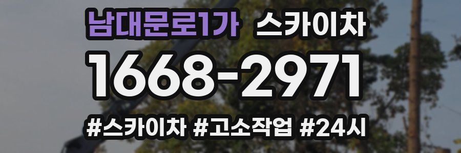 남대문로1가 스카이차