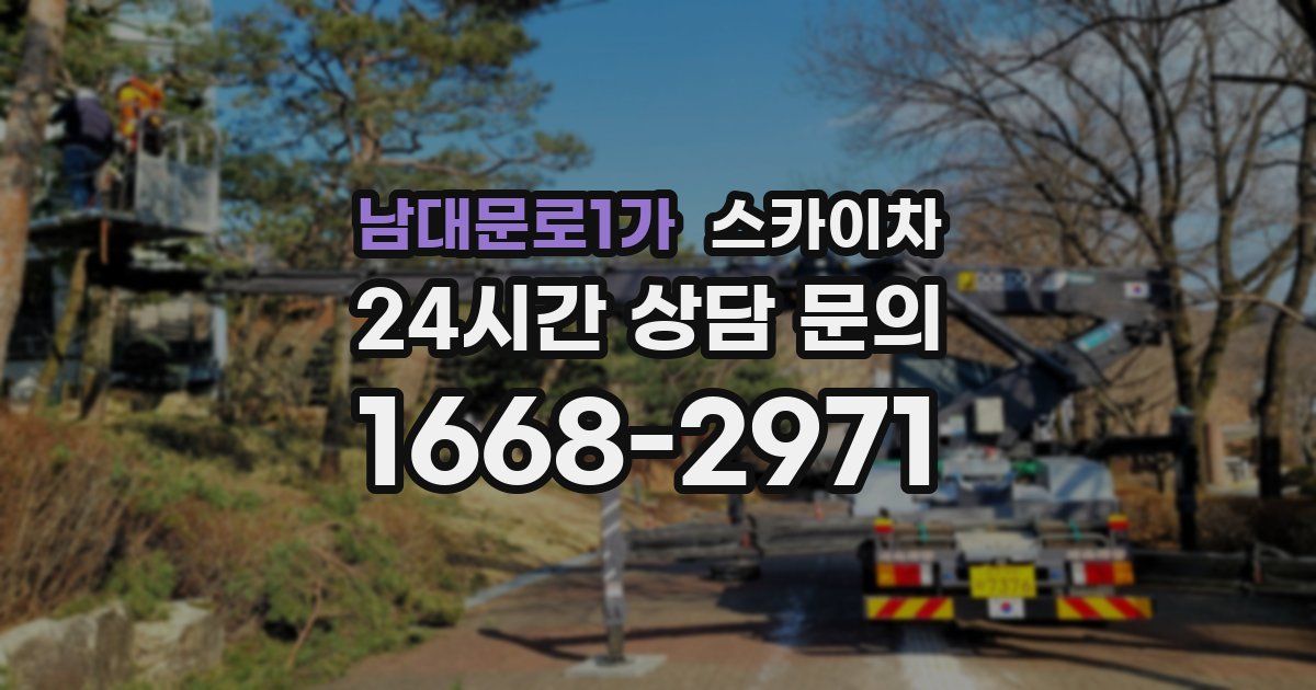 남대문로1가 스카이차