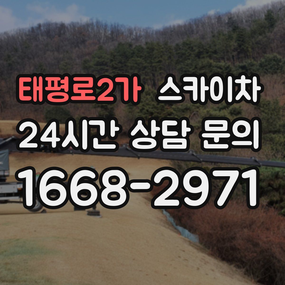 태평로2가 스카이차