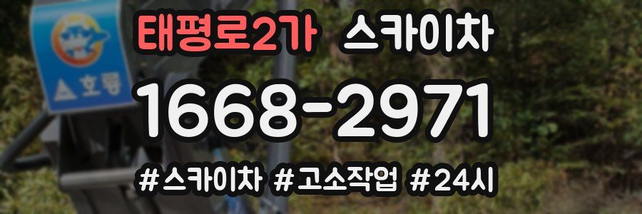 태평로2가 스카이차