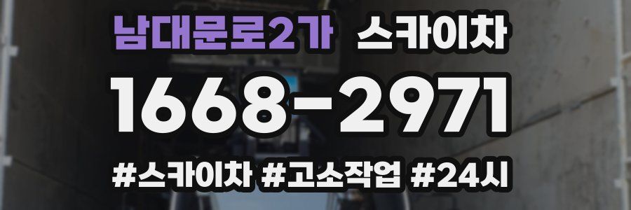 남대문로2가 스카이차