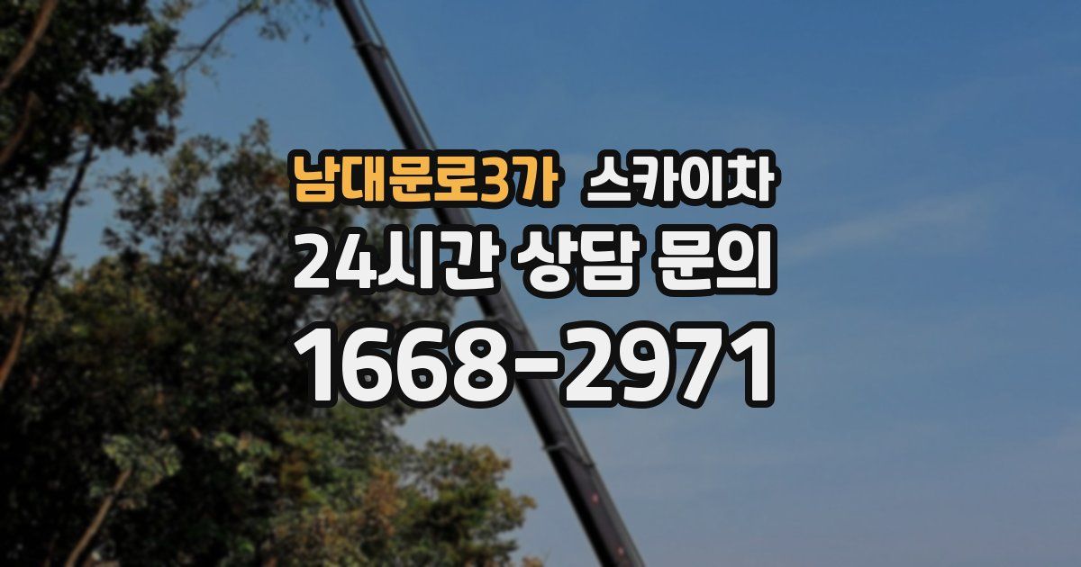 남대문로3가 스카이차