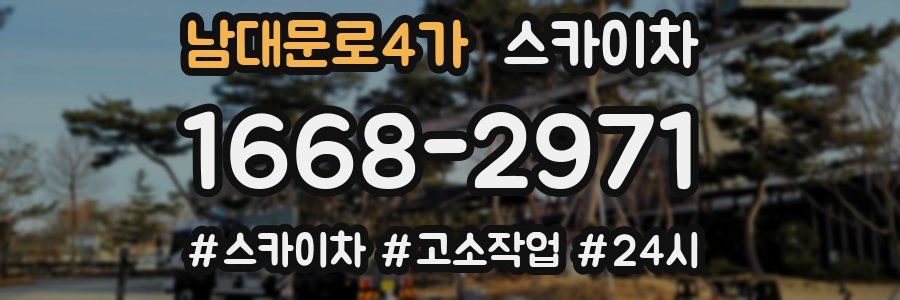 남대문로4가 스카이차