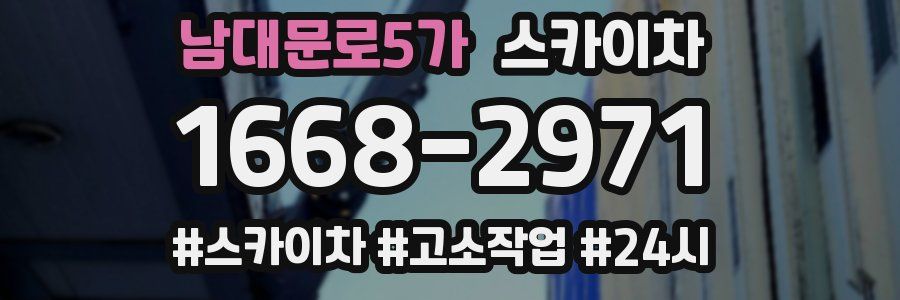 남대문로5가 스카이차