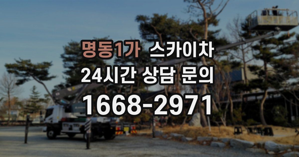 명동1가 스카이차