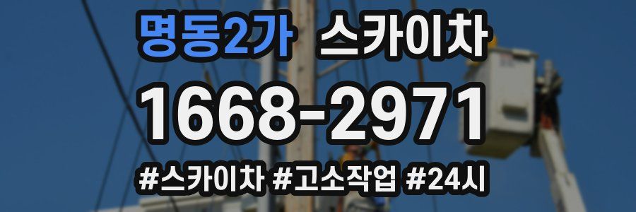 명동2가 스카이차