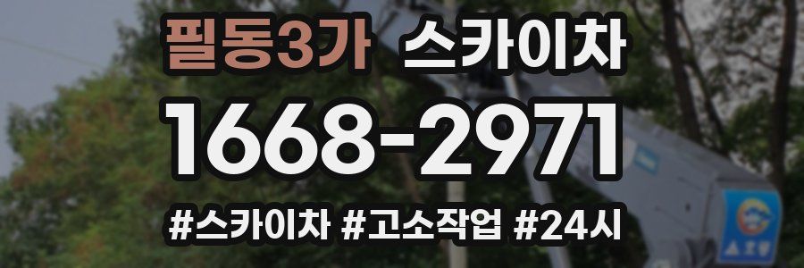 필동3가 스카이차