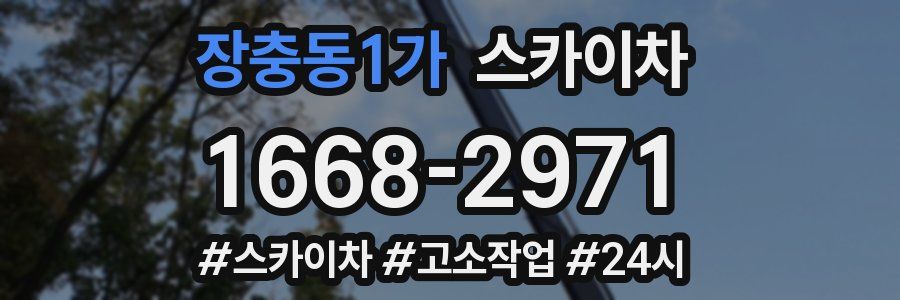 장충동1가 스카이차