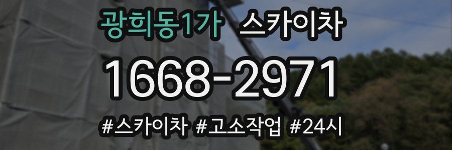 광희동1가 스카이차