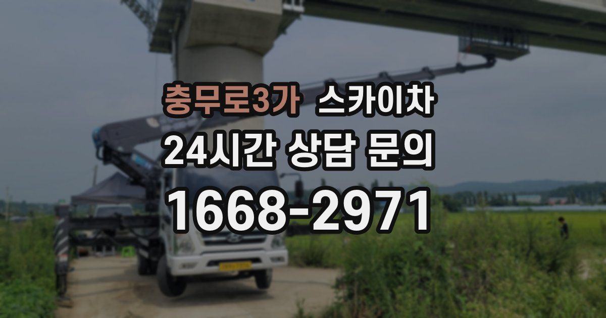 충무로3가 스카이차