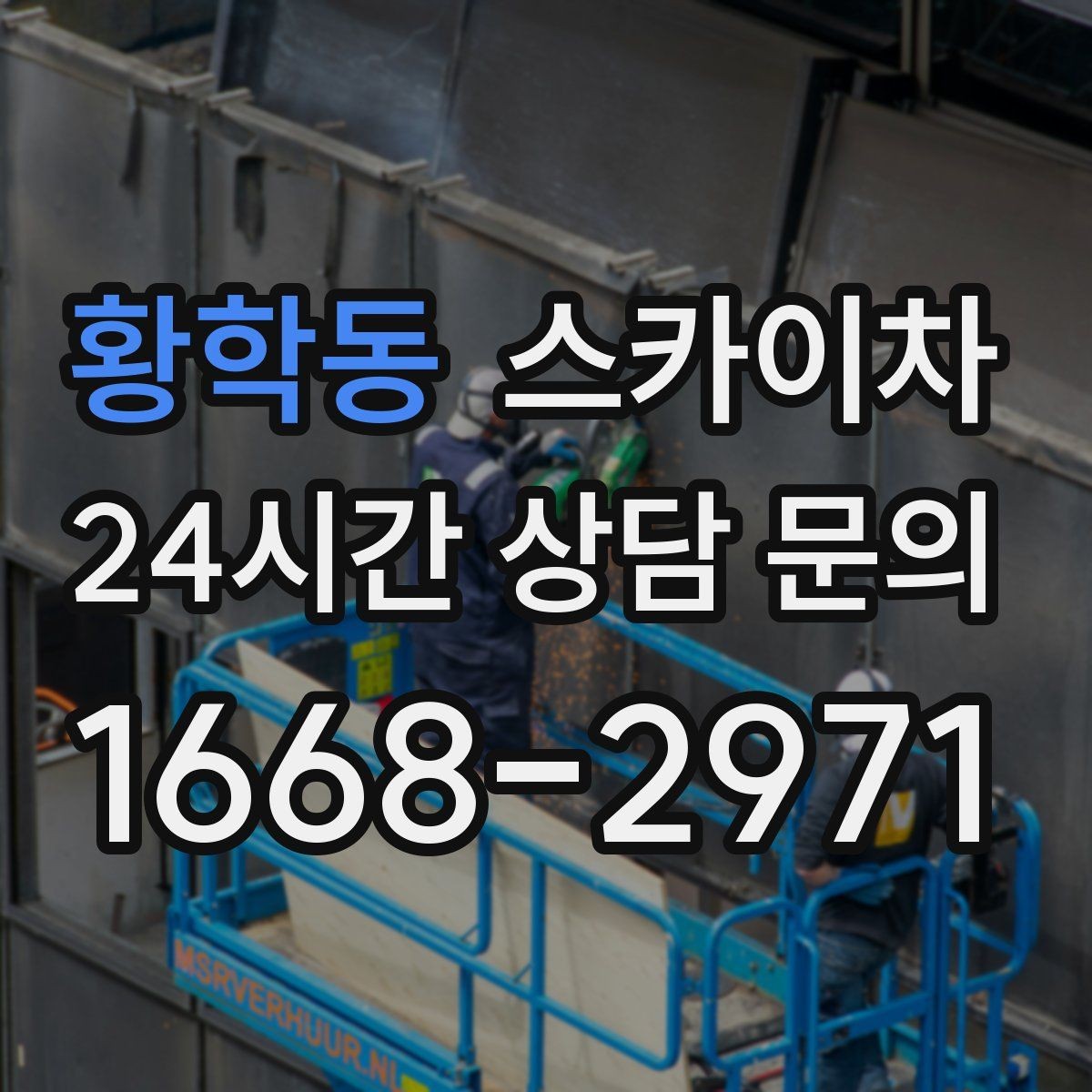 황학동 스카이차 나무 가지 전정 작업에 활용하는 방법