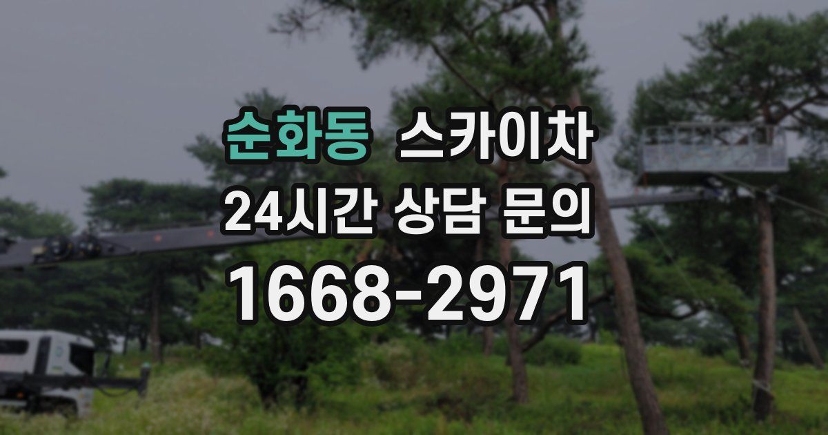 순화동 스카이차