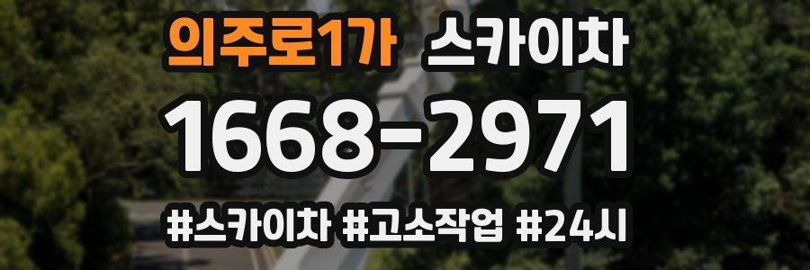 의주로1가 스카이차