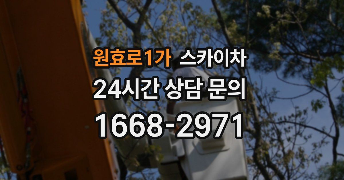 원효로1가 스카이차