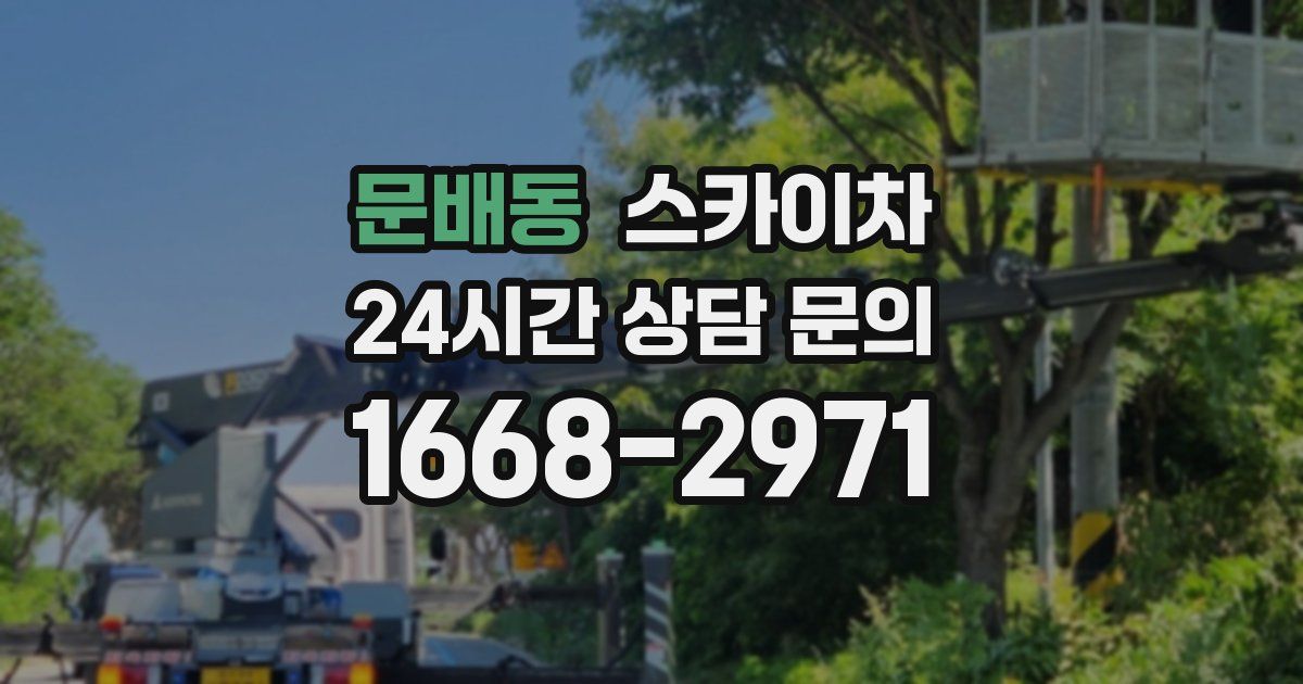 문배동 스카이차