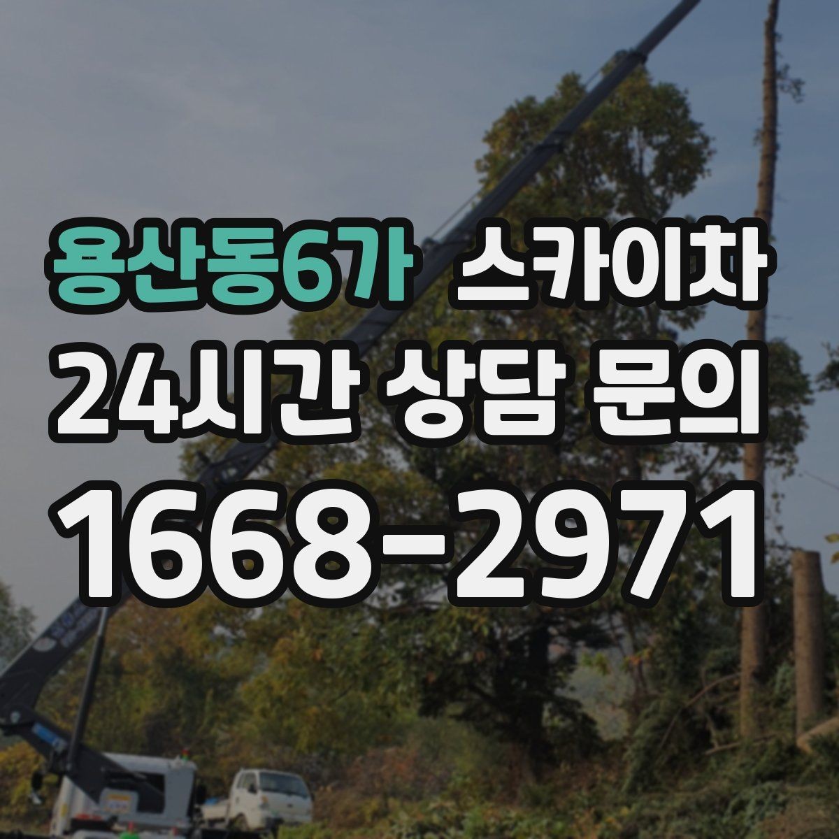 용산동6가 스카이차 갑자기 필요한 상황을 대비하는 팁