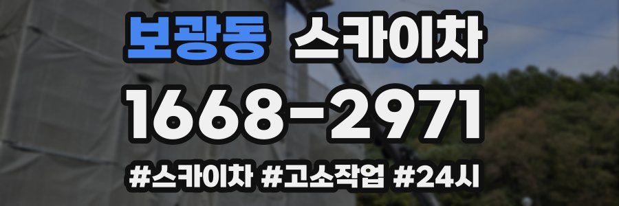 보광동 스카이차