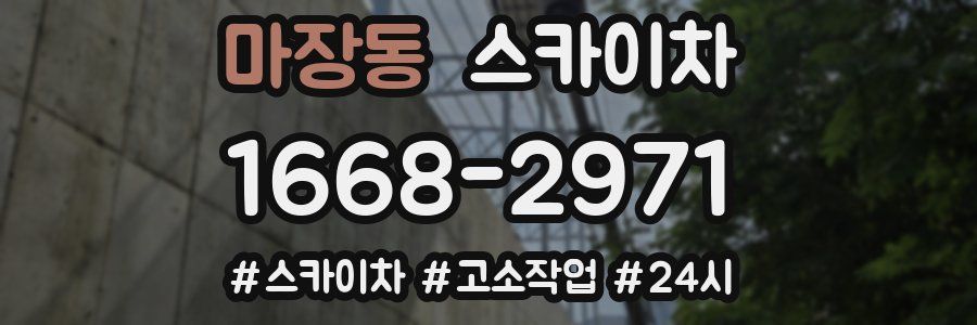 마장동 스카이차