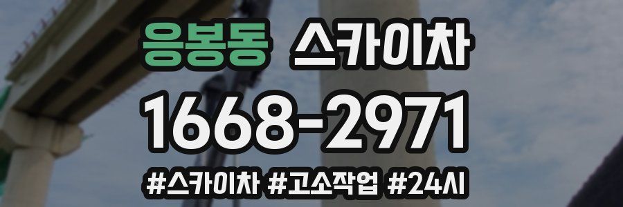 응봉동 스카이차