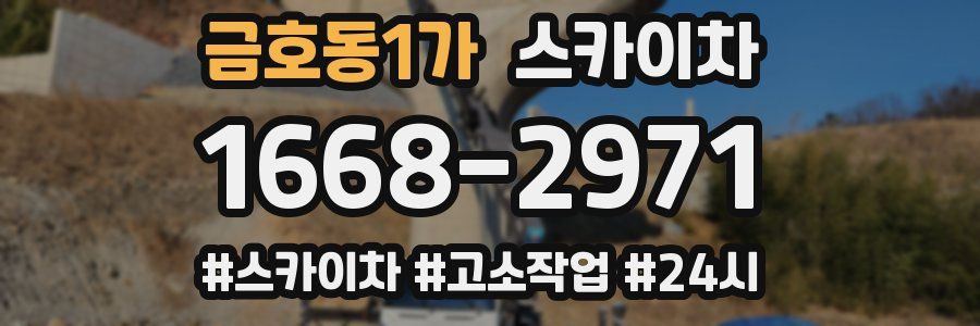 금호동1가 스카이차