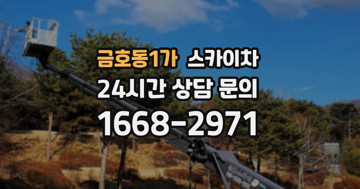 금호동1가 스카이차