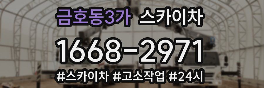 금호동3가 스카이차