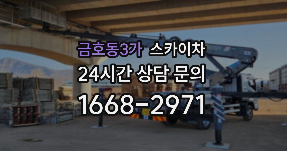 금호동3가 스카이차