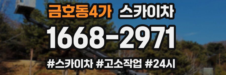 금호동4가 스카이차