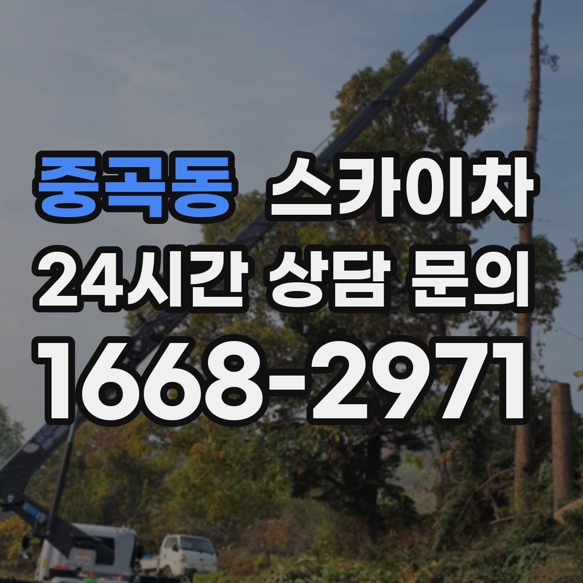 중곡동 스카이차